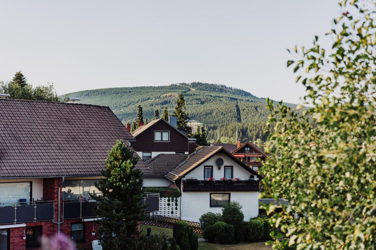 Hexe I - Mit Blick Auf Den Wurmberg Apartment Braunlage Luaran gambar